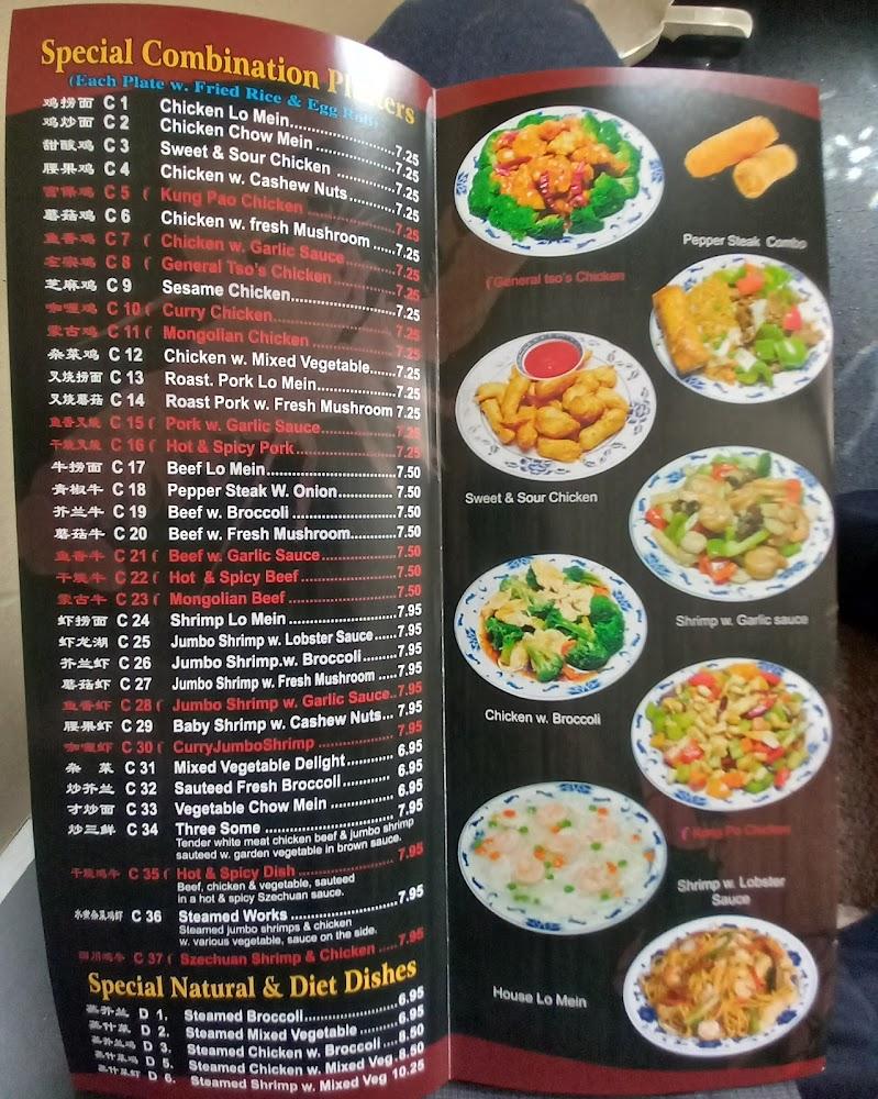 New China Wok Spring Roll